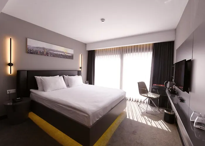 انسيتي نيسانتاسي 3*